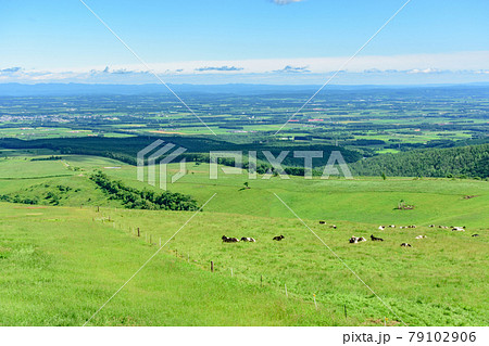 青空のナイタイ高原牧場 青空のナイタイ高原牧場 79102906