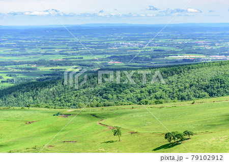 青空のナイタイ高原牧場 青空のナイタイ高原牧場 79102912