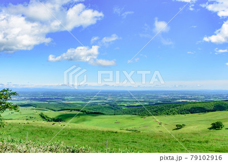 青空のナイタイ高原牧場 79102916