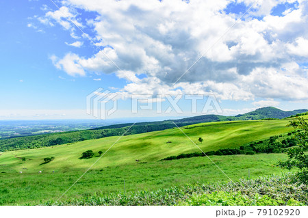 青空のナイタイ高原牧場 79102920