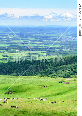 青空のナイタイ高原牧場 79102932