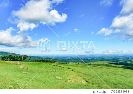 青空のナイタイ高原牧場 青空のナイタイ高原牧場 79102943
