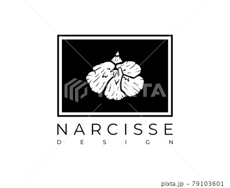 Frame with a print of a daffodil or narcissus flower. Vector illustration. Frame with a print of a daffodil or narcissus flower. Vector illustration. 79103601