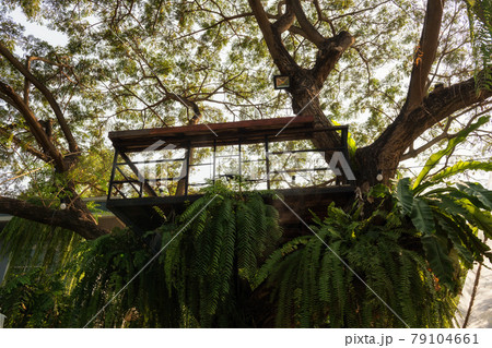 cabin aerial viewpoint on big tree. Modern garden cabin aerial viewpoint on big tree. Modern garden 79104661