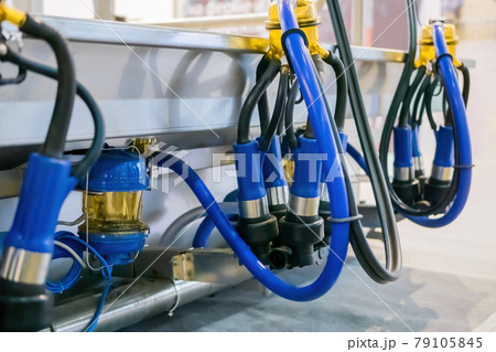 Teat cups of automated cow milking suction machine Teat cups of automated cow milking suction machine 79105845