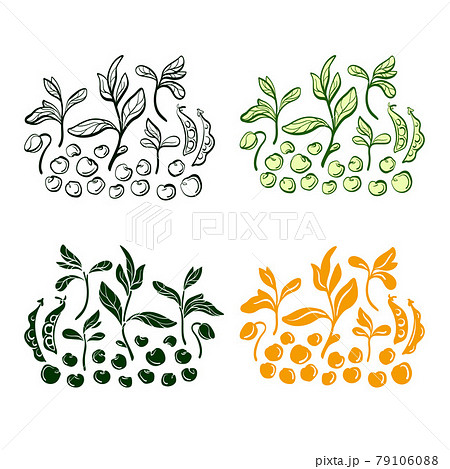 Soy bean. Vector set. Natural protein food Soy bean. Vector set. Natural protein food 79106088