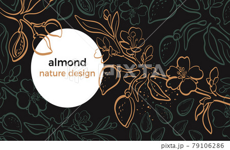 Almond tree. Vector template. Tropical night background, moon. 79106286