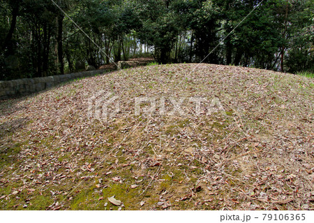 三田市 中央公園内の古墳の入り口 奈良山七号墳の内部 三田市 中央公園内の古墳の入り口 奈良山七号墳の内部 79106365