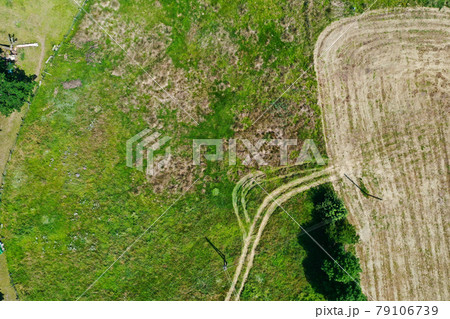 Vertical aerial view of the roof of a factory next to a densely overgrown fallow area Vertical aerial view of the roof of a factory next to a densely overgrown fallow area 79106739