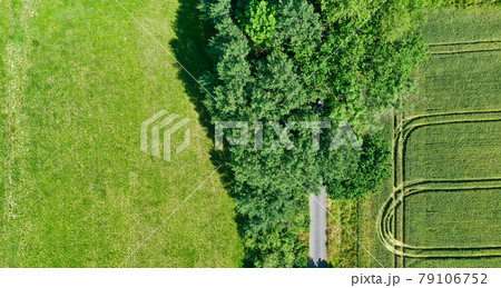 Aerial view from the vertical with bushes, trees and shrubs next to a meadow with furrows of the farm equipment. Aerial view from the vertical with bushes, trees and shrubs next to a meadow with furrows of the farm equipment. 79106752