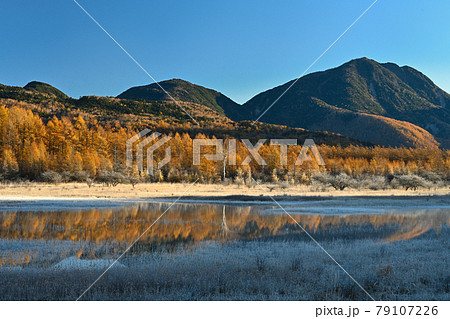 紅葉の小田代湖 79107226
