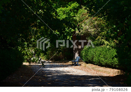 フランス、サンジェルマン=アン=レー城の前に広がる庭園(テラス)2020年8月撮影 フランス、サンジェルマン=アン=レー城の前に広がる庭園(テラス)2020年8月撮影 79108026