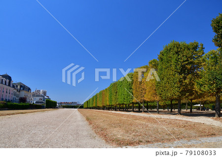 フランス、サンジェルマン＝アン＝レー城の前に広がる庭園（テラス）2020年8月撮影 79108033