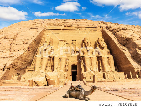 A camel near the Great Temple at Abu Simbel, Egypt A camel near the Great Temple at Abu Simbel, Egypt 79108929