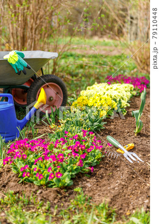 Flowerbed and gardener equipment wheelbarrow garden cart watering can garden rake in garden on summer day. Farm worker tools ready to planting seedlings or flowers. Gardening and agriculture concept 79110448