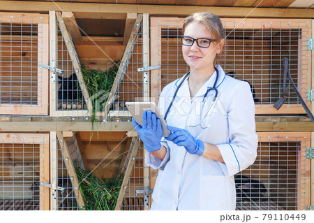 Veterinarian woman with tablet computer checking animal health status on barn ranch background. Vet doctor check up rabbit in natural eco farm. Animal care and ecological livestock farming concept. Veterinarian woman with tablet computer checking animal health status on barn ranch background. Vet doctor check up rabbit in natural eco farm. Animal care and ecological livestock farming concept. 79110449