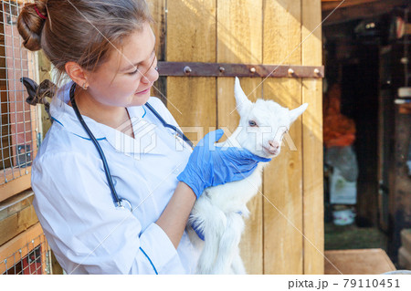 Young veterinarian woman with stethoscope holding and examining goat kid on ranch background. Young goatling in vet hands for check up in natural eco farm. Modern animal livestock, ecological farming. 79110451