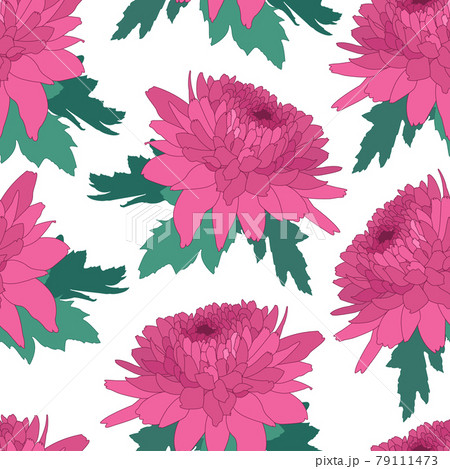 Seamless decorative pattern with pink chrysanthemum. Crown daisy repeated background. Vector Seamless decorative pattern with pink chrysanthemum. Crown daisy repeated background. Vector 79111473