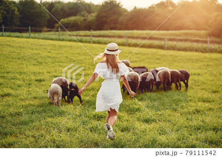 Cute girl in a field with a goats Cute girl in a field with a goats 79111542