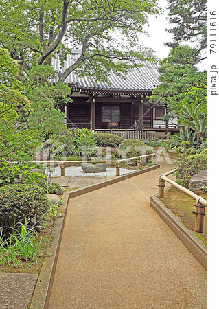法真寺（赤羽） 79111616