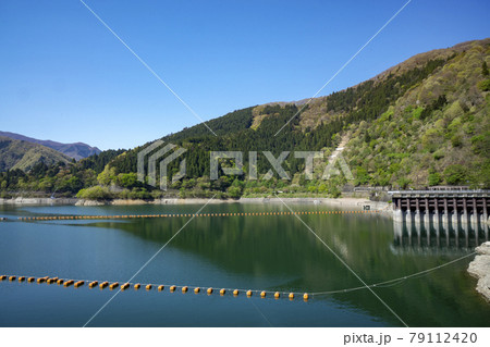 新緑の奥多摩湖 北岸から見る湖面と背景の山々 新緑の奥多摩湖 北岸から見る湖面と背景の山々 79112420
