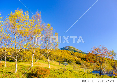 秋の白樺高原と蓼科山 秋の白樺高原と蓼科山 79112574