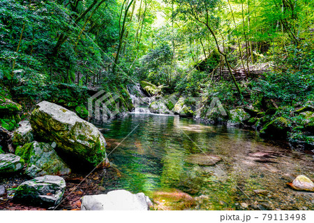 野河内渓谷の自然 79113498