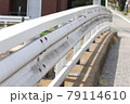 橋の欄干 79114610