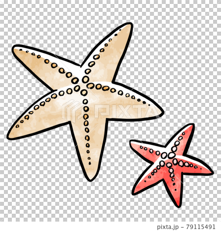 ベージュ色と赤色のヒトデのイラスト素材