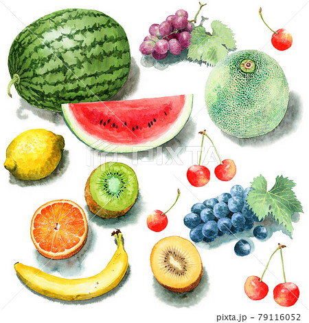 アナログ水彩果物トロピカルフルーツのイラスト素材