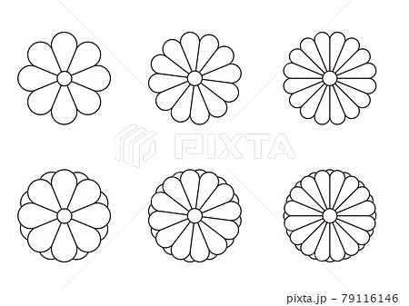菊の花の線画セット 和風の花のデザイン 和文様のイラスト素材