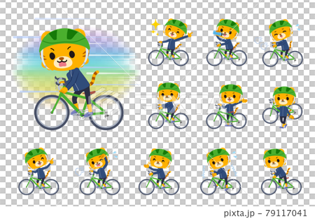 A set of tiger boys on a road bike 79117041