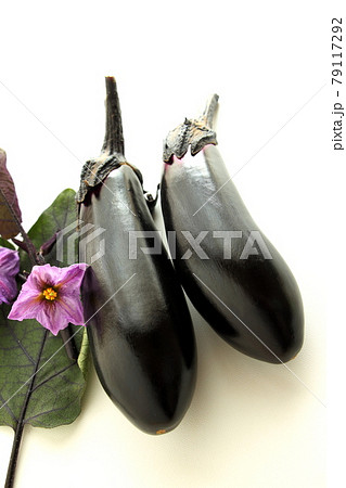 収穫したばかりのナス 79117292