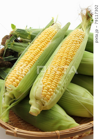 もぎたてのトウモロコシ 79117302