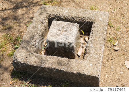 大浜公園の一等三角点 79117465