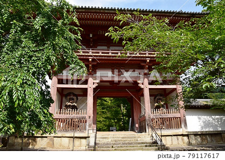 京都市伏見区　醍醐寺境内の西大門（仁王門）と新緑 79117617