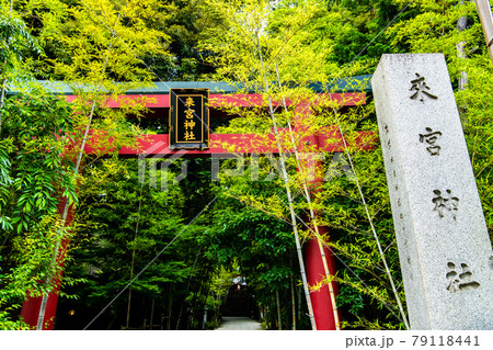 静岡県熱海市 來宮神社　参道の鳥居 79118441