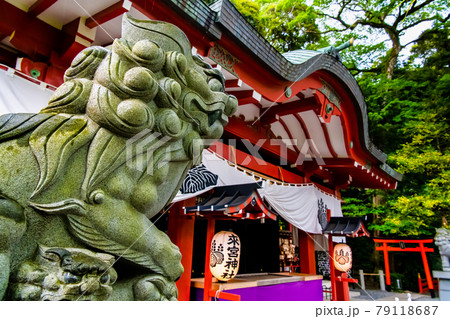 静岡県熱海市 來宮神社(本殿) 静岡県熱海市 來宮神社(本殿) 79118687