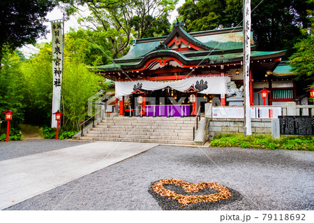 静岡県熱海市 來宮神社(本殿と猪目模様) 静岡県熱海市 來宮神社(本殿と猪目模様) 79118692