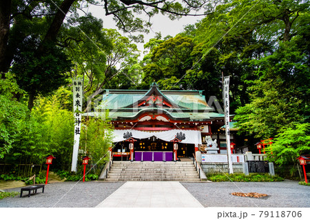 静岡県熱海市 來宮神社（本殿） 79118706