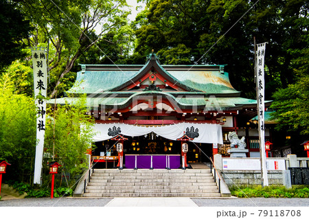 静岡県熱海市 來宮神社(本殿) 静岡県熱海市 來宮神社(本殿) 79118708
