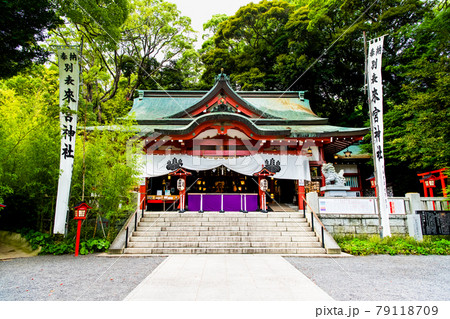 静岡県熱海市 來宮神社(本殿) 静岡県熱海市 來宮神社(本殿) 79118709