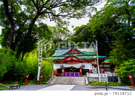 静岡県熱海市 來宮神社(本殿) 静岡県熱海市 來宮神社(本殿) 79118712