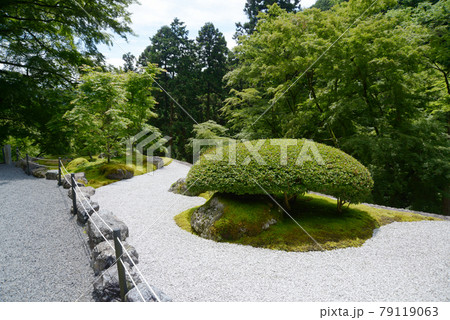 古知谷阿弥陀寺　庭園　京都市左京区大原 79119063