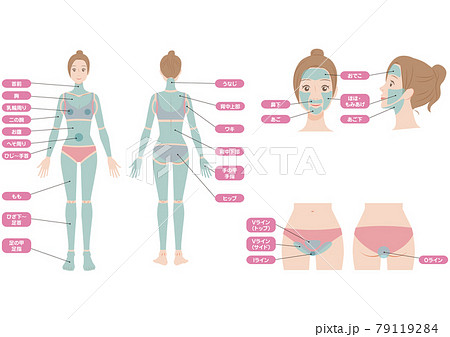 女性の全身の脱毛部位セットのイラスト素材