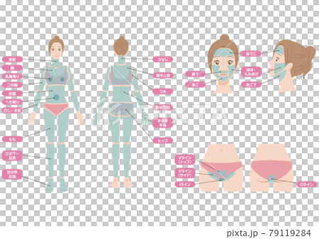 女性の全身の脱毛部位セット 79119284