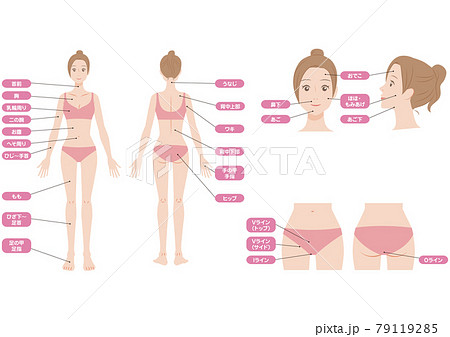 女性の全身の脱毛部位セット 女性の全身の脱毛部位セット 79119285