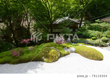 古知谷阿弥陀寺　庭園　京都市左京区大原 79119304