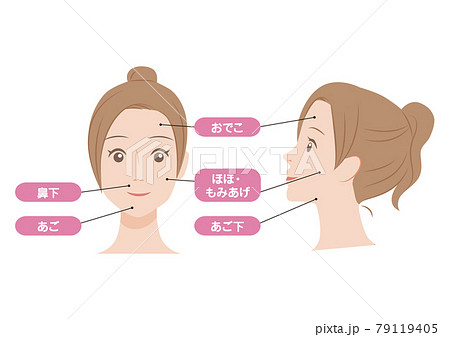 女性の顔の脱毛箇所 79119405