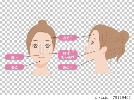 女性の顔の脱毛箇所 79119405